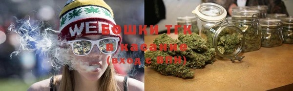 прущие крисы Белокуриха