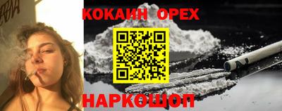 apvp Аргун