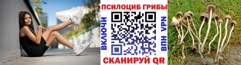 Галлюциногенные грибы прущие грибы  Бугульма 